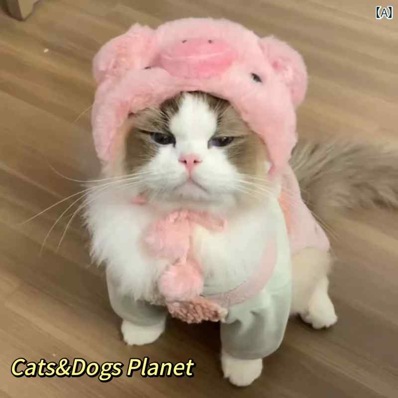 猫の かわいい 面白 女装 帽子 ペット ゴールド グラデーション ブリティッシュ ショート ヘア ジャーマンドッグ ハンバーガー ヘッド ギア ドレス