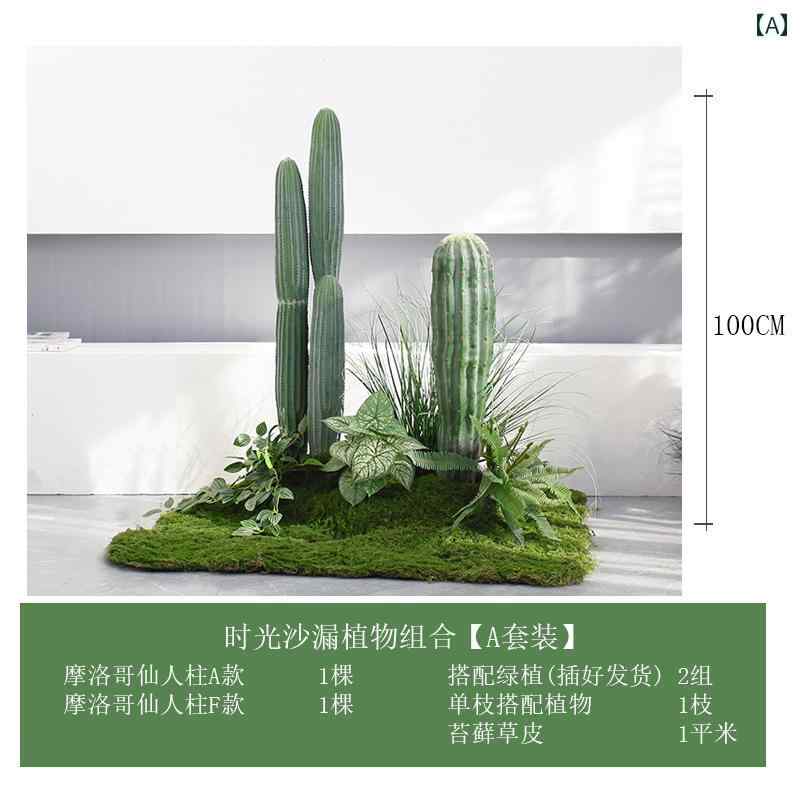 草木 砂の カクタス 乾荒原の 見晴らしの 窓の かざり付ける 一こまの レイアウト 大大きさな 屋内の コンピューターシミュレーション.カラフルカラーオシャレ