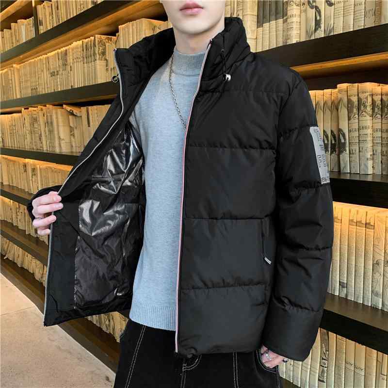 羽?服 メンズ 冬用 アウター 立襟 無地 防寒 グレーガチョウダウン ポリエステル ゆったり 黒いこと 赤いこと 緑であること
