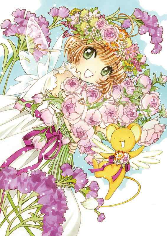 【中古】カードキャプターさくら DVD BOX<初回仕様版>