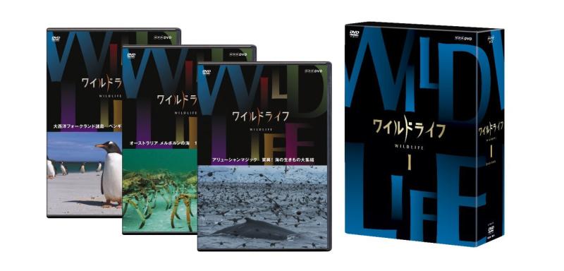【中古】ワイルドライフ DVD-BOXI