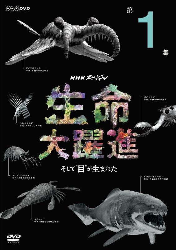 【中古】ＮＨＫスペシャル 生命大躍進 第１集　 [DVD]