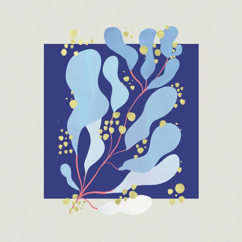 【中古】In Parallel [ARTPL-208]