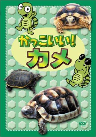 【中古】かっこいいカメ [DVD]｜LINEAR shop