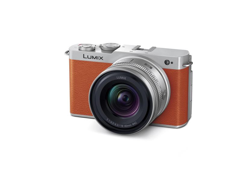 【中古】パナソニック(Panasonic) フルサイズ 鏡鑑受け答え一眼写真機 ルミックス DC-S9N-D 広角望遠レンズ一揃いの道具 キャメルオレンジ