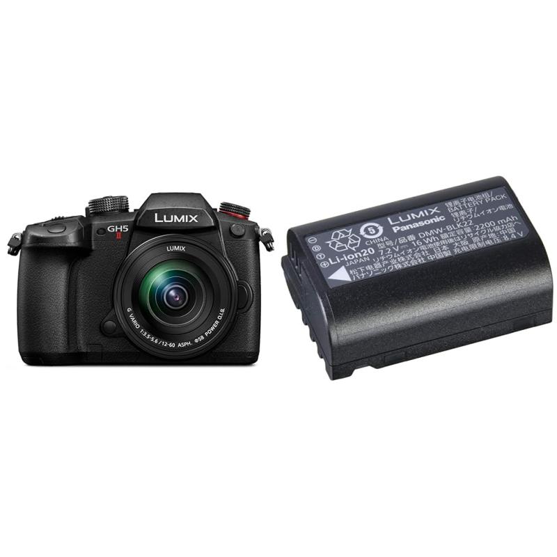 【中古】パナソニック 鏡鑑受け答え一眼写真機 ルミックス 水晶体一揃いの道具 標準尺度望遠レンズ嘱する 黒いこと