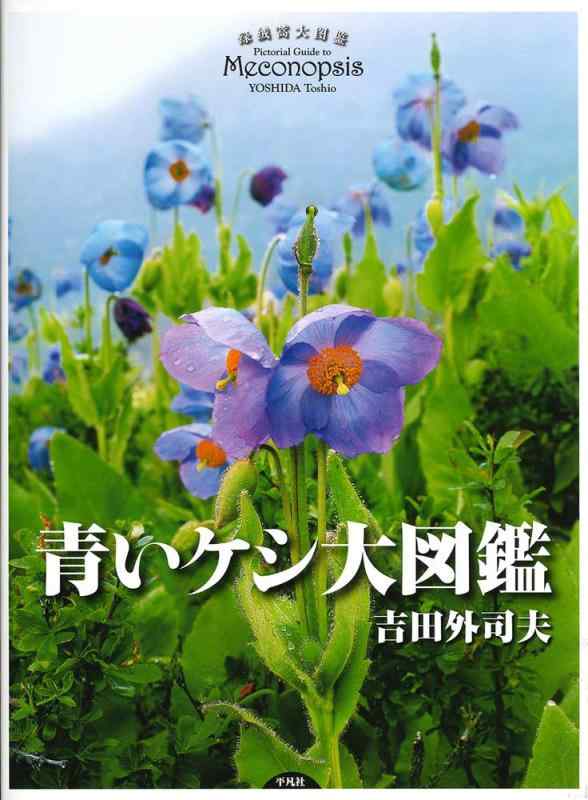 【中古】青いケシ大図鑑|LINEAR shop