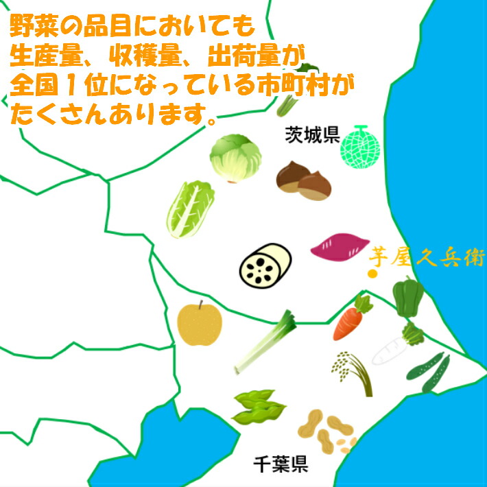 楽天市場 千葉県産 茨城県産 旬 詰め合わせ 産直 野菜 10品目以上 新鮮 採れたて 野菜セット 夏季クール便対応 別途送料がかかります 芋屋久兵衛