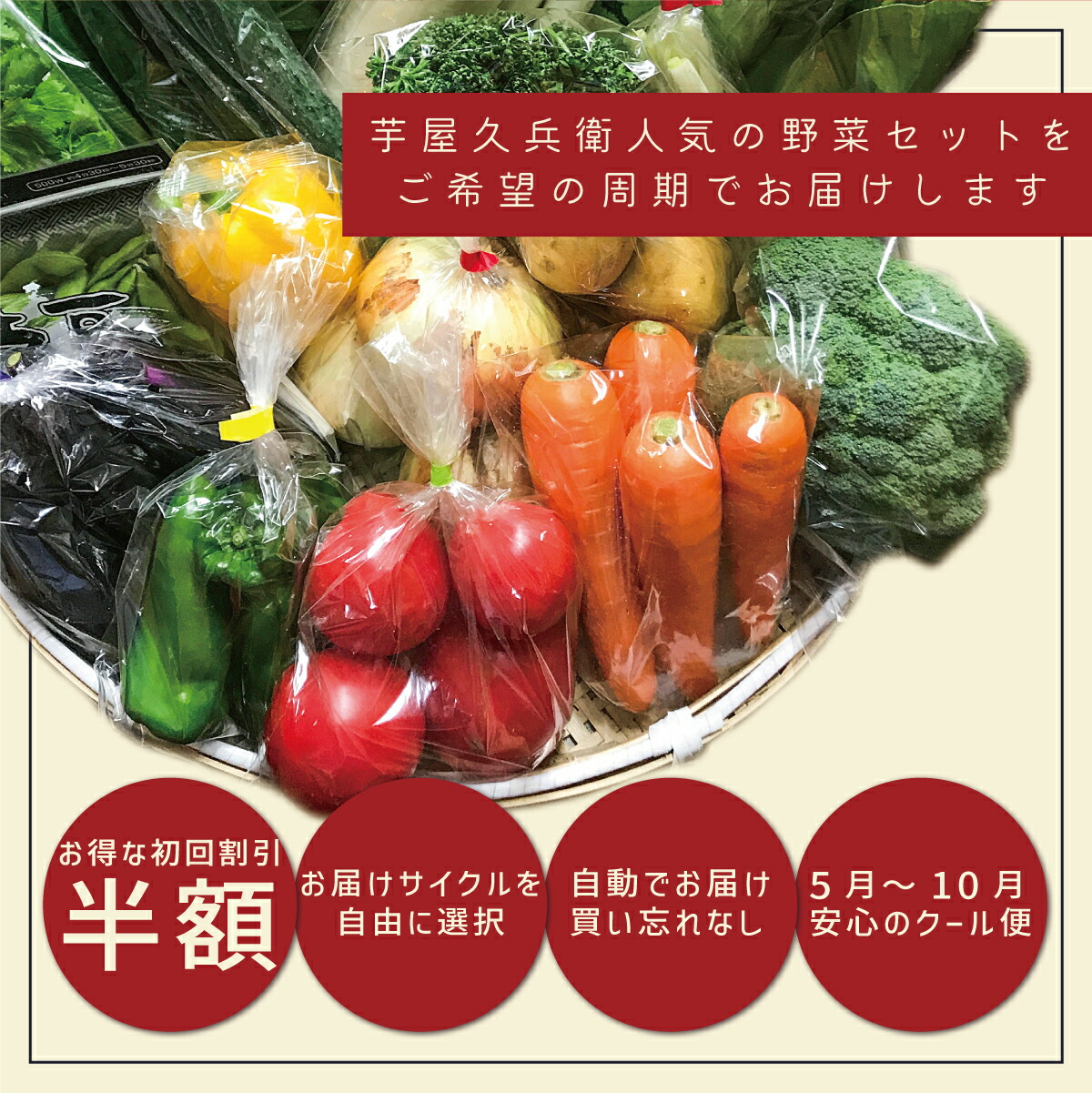 【初回半額】千葉・茨城県産 野菜セット 定期購入 10品目以上 産直 産地直送 国産 ギフト 新鮮 採れたて 野菜 野菜詰め合わせセット 夏季はクール便 冷蔵便 多数販売