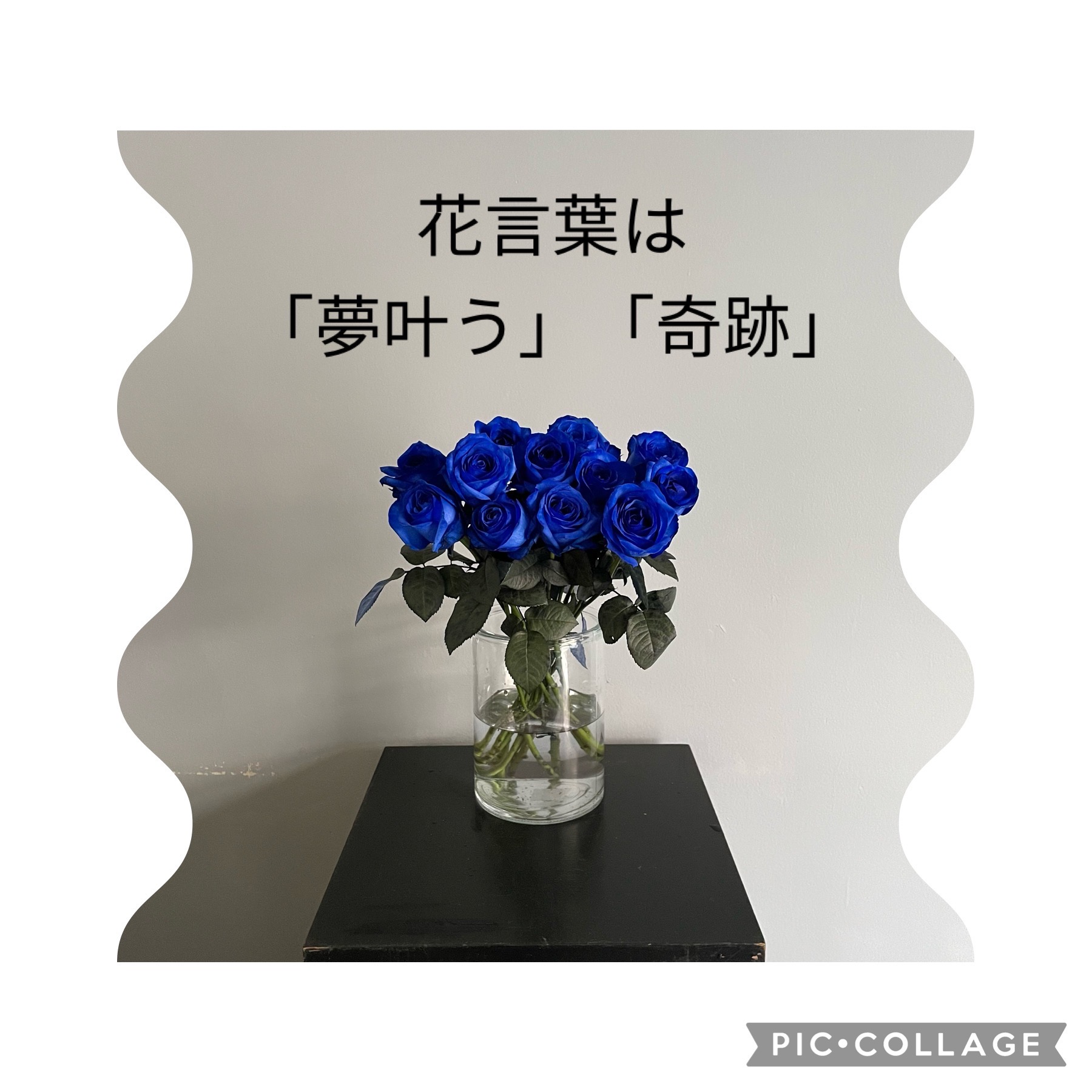 ◇在庫限り◇ ブルーローズ 青い薔薇 花束 30本のブルーローズブーケ fucoa.cl ◇在庫限り◇ ブルーローズ 青い薔薇 花束 30本のブルーローズブーケ fucoa.cl