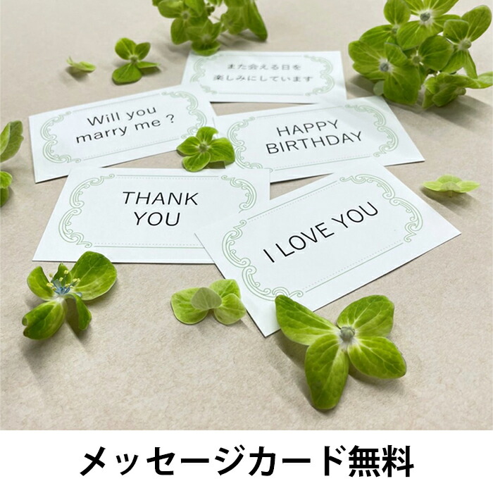 破格値下げ あす楽 バラの花束 108本 プロポーズブーケ 送料無料 赤バラ Fucoa Cl