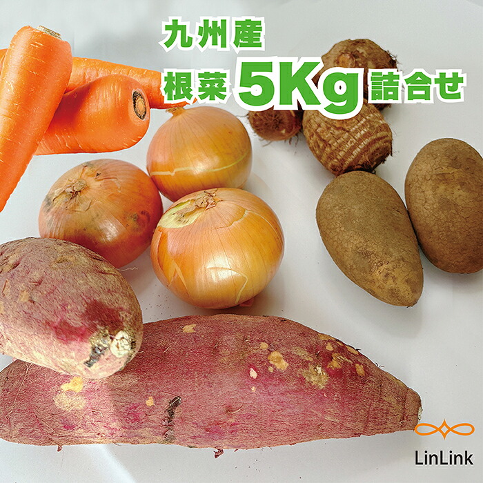 【楽天市場】九州産 根菜セット 野菜セット おまかせ詰合せセット 旬の野菜 季節の野菜 野菜 根菜5Kg 根菜 新鮮 旬：リンリンク 青果部