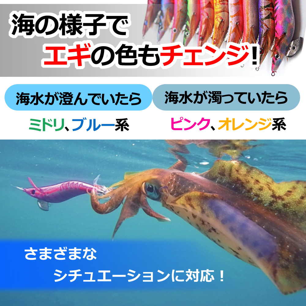 楽天市場 エギ 3 5号 10本セット エギング 餌木 イカ釣り 蓄光 釣り ルアー ケース カラビナ付き まとめ買い 送料無料 セレクトショップ リノフリ