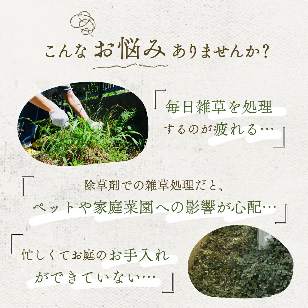 防草シート1mx10m2枚セットピン付き雑草シート高耐久除草雑草対策シートガーデニング庭農業園芸家庭菜園ガーデニング空き地送料無料