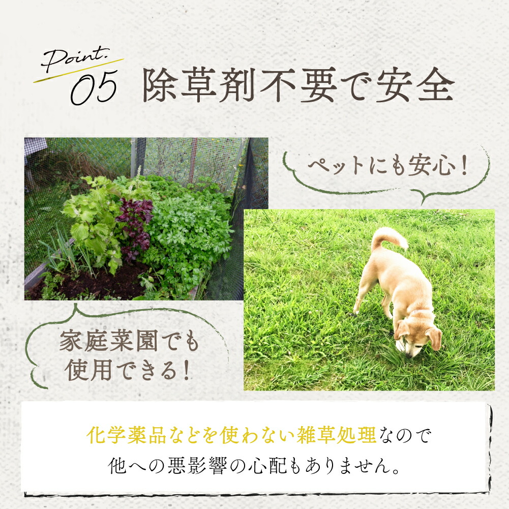 防草シート1mx10m2枚セットピン付き雑草シート高耐久除草雑草対策シートガーデニング庭農業園芸家庭菜園ガーデニング空き地送料無料