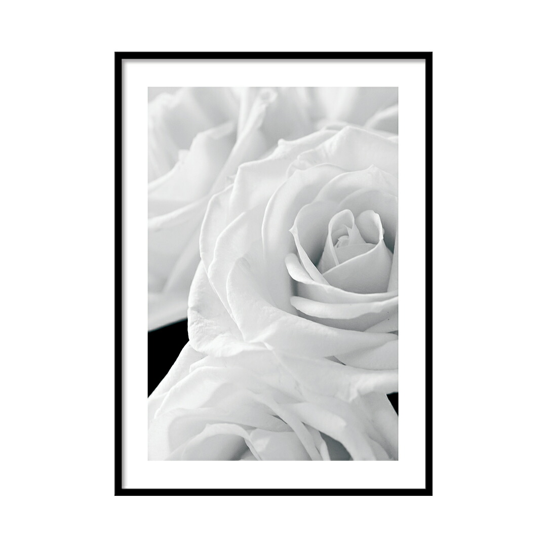 楽天市場 高級紙 高品質印刷 Linsl ポスター A3 0073 日本製 北欧 モダン おしゃれ アートポスター 韓国 インテリア 雑貨 北欧雑貨 インクアート アート 玄関 絵画 絵 壁掛け リンスル Linsl 北欧 モダン アートショップ