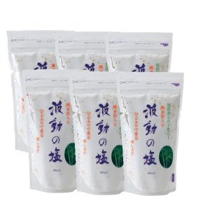 【レビューで最大10%OFFクーポン】波動の塩 450g 金箔入り 6個セット