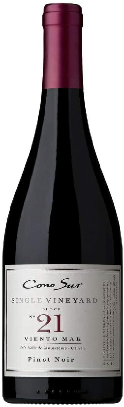 4/20限定P3倍 【送料無料】 コノスル ピノノワール シングルヴィンヤード No.21 750ml×6本 [チリ/ミディアム ボディ/赤] 【一部地域送料無料対象外】