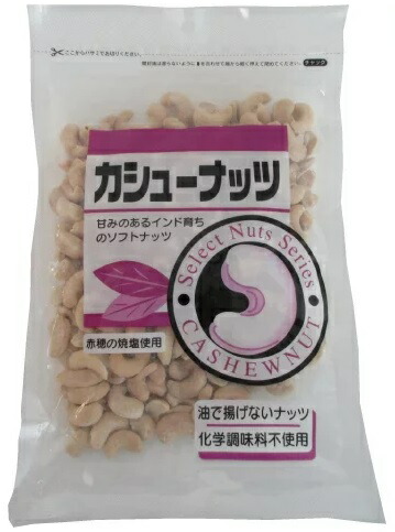 送必要経費絶無料 化学調味料不履行 無お負 富永商業 カシュー木の実 240g 10個 北海道 東北 四国 九州 沖縄県は明確送料がかかります Picassomarnero Com Tr