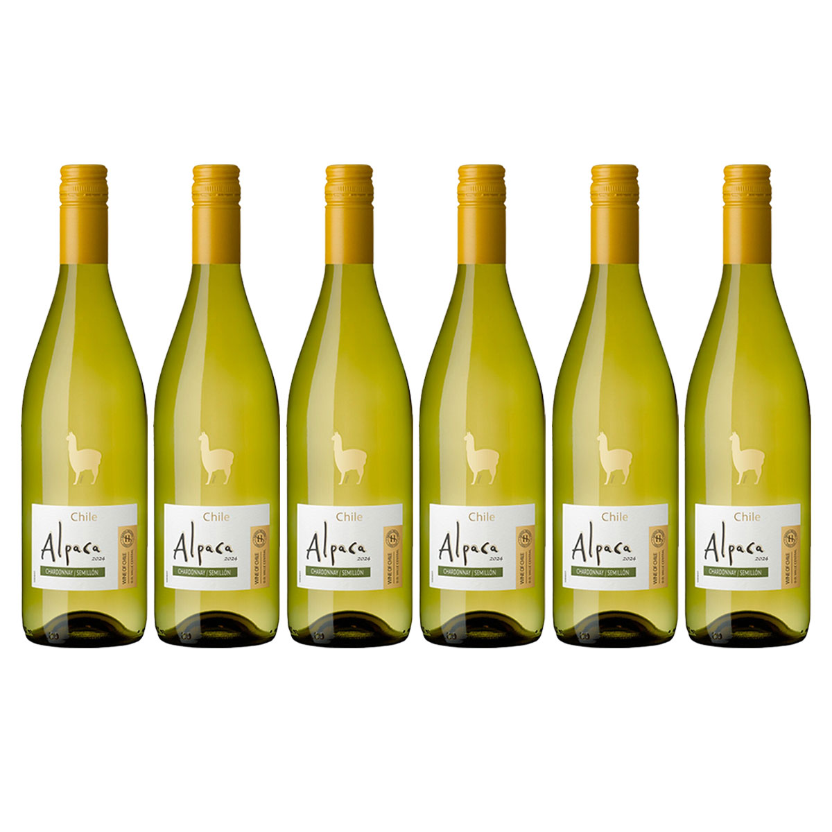 Alpaca Chardonnay Semillon 2024 20本セット 楽天市場】サンタ ヘレナ アルパカ シャルドネ セミヨン 2024 白ワイン
