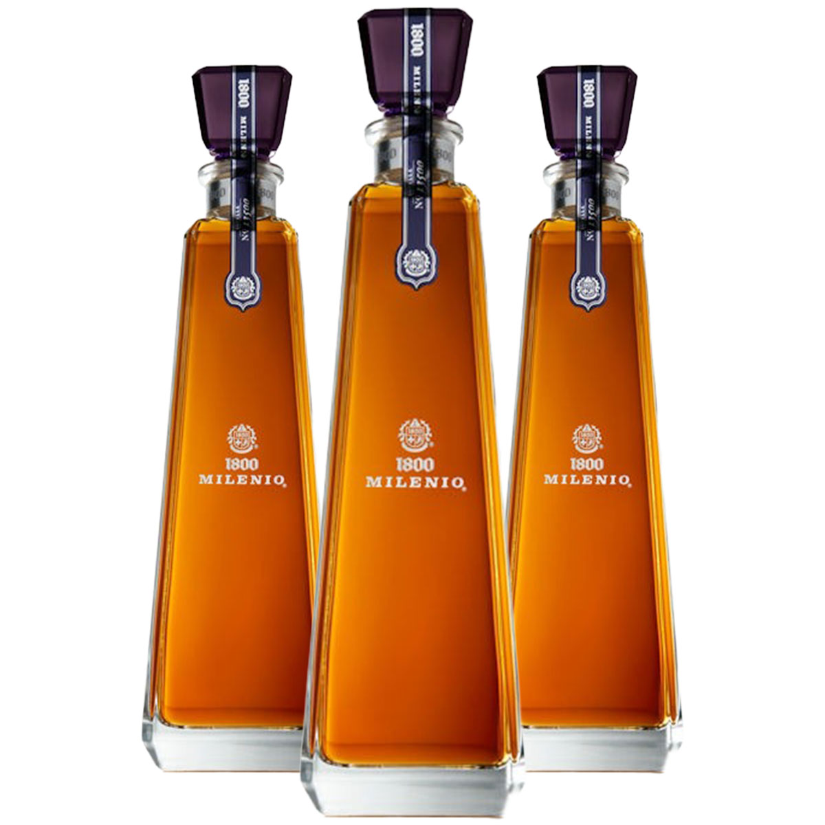 楽天市場】【1/22頃順次発送】【抽選で1等77,777ポイント当たる