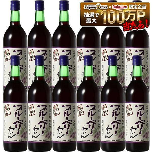7/19 20:00~7/25までP4倍 【送料無料】シャトー勝沼 酸化防止剤無添加 ブルーベリーワイン 720ml×12本【一部地域送料無料対象外】|リカーBOSS 店