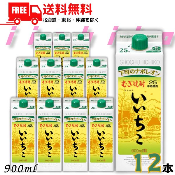 送料無料 いいちこ 焼酎 25度 900ml 2ケース 12本 スリムパック 麦焼酎 三和酒類【東北・北海道・沖縄・離島の一部を除く(東北は400円、北海道・沖縄はプラス1200円いただきます)】|リカーアイランド