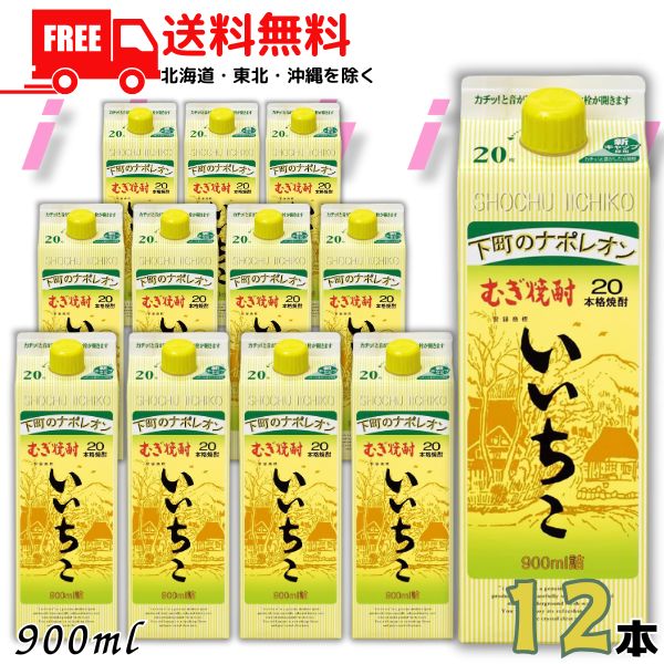 送料無料 いいちこ 焼酎 20度 900ml 2ケース 12本 スリムパック 麦焼酎 三和酒類 【東北・北海道・沖縄・離島の一部を除く（東北は400円、北海道・沖縄はプラス1200円いただきます）】