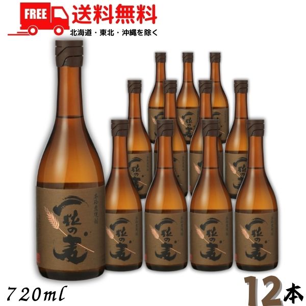 送料無料 一粒の麦 25度 720ml 瓶1ケース 12本 麦焼酎 西酒造 【東北・北海道・沖縄・離島の一部を除く（東北は400円、北海道・沖縄はプラス1200円いただきます）】 10,627円