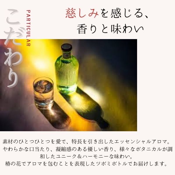 GOTOGIN the cacao ゴトジン ザ カカオ 47度 500ml 1本 五島