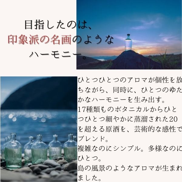 GOTOGIN the cacao ゴトジン ザ カカオ 47度 500ml 1本 五島