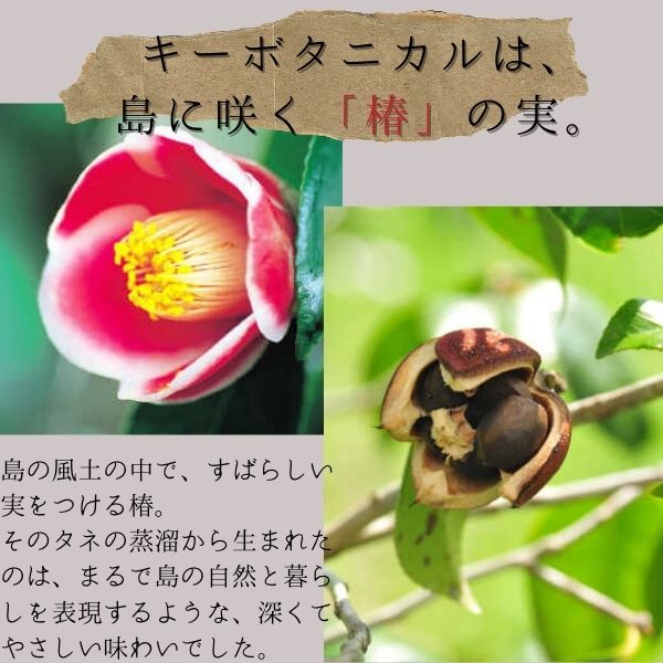 GOTOGIN the cacao ゴトジン ザ カカオ 47度 500ml 1本 五島つばき蒸溜