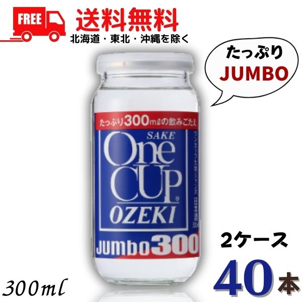 清酒 大関 ワンカップジャンボ 300ml 2ケース 40本 送料無料