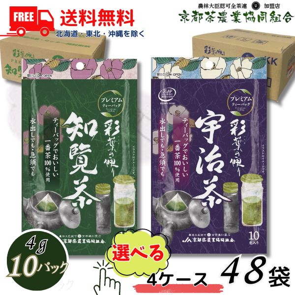 送料無料 京都茶 彩葉の便り プレミアム ティーバッグ (4gx10パック) 宇治茶 と 知覧茶 から選べる 4ケース 48袋 480パック 京都茶農業協同組合 【東北・北海道・沖縄・離島の一部を除く（東北は400円、北海道・沖縄はプラス1200円いただきます）】