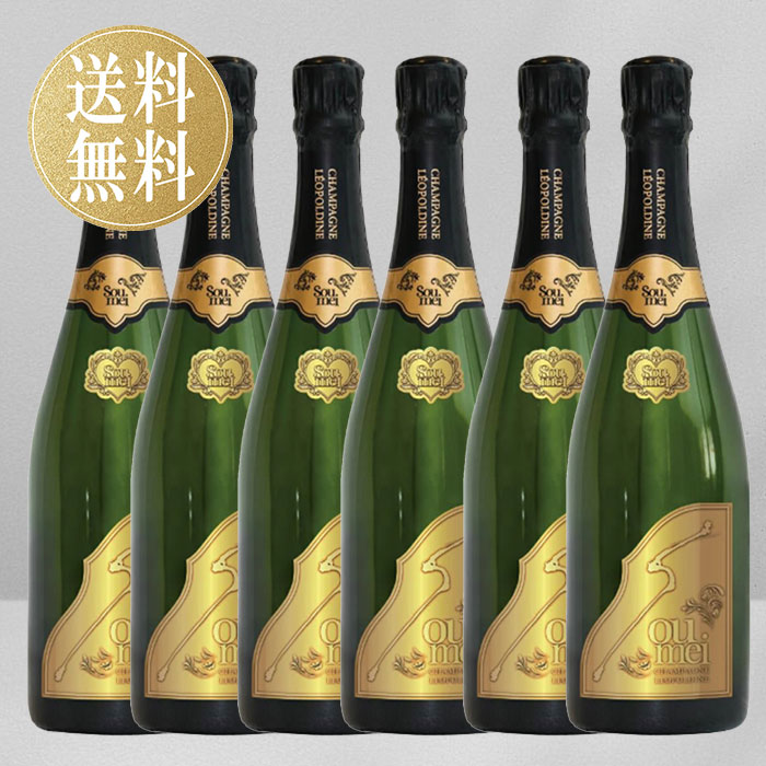 【6本まとめ買い】 正規品 ソウメイ ブリュット 白 ソウメイブリュット セット soumei brut シャンパン 高級シャンパン シャンパーニュ 辛口 フランス 誕生日 プレゼント ギフト お祝い クラブ パーティー ハロウィン ソウメイジャパン ソウメイシャンパン ゴールド 送料無料