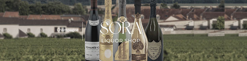 ꥫåSORAѥŹ ¿·Ƥޤ