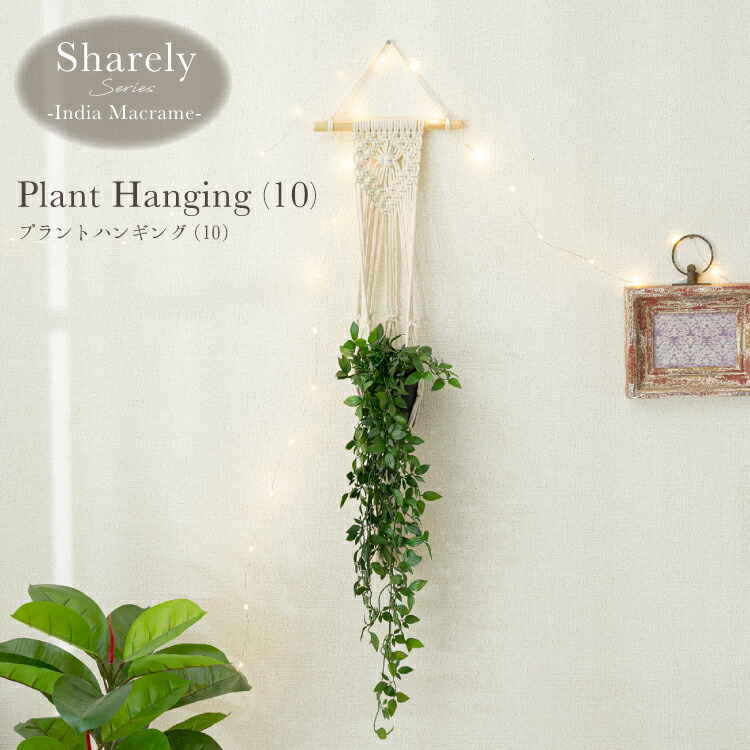 sha_ph10_k01.jpg sha_ph10_k01.jpg