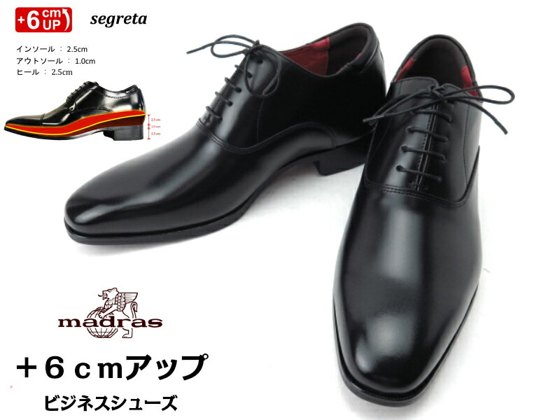 新しい到着 楽天市場 Madras Modello Dm7501 シークレットシューズ マドラス 6cmアップ ビジネスシューズsegreta 内羽根 フォーマル 背が高くなるメンズ プレーントゥ 冠婚葬祭ベーシック トールシューズ Lise 手数料安い Faan Gov Ng