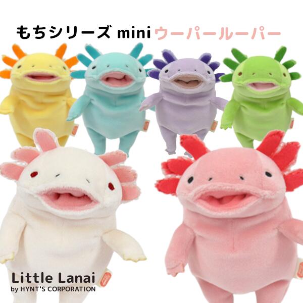 楽天市場】ニキ NICI ラブベア ワイルドフレンズ クラシック
