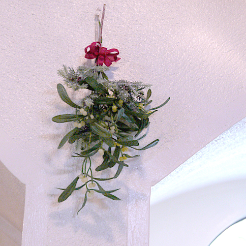 楽天市場 オリジナルクリスマス用品 Mistletoe ヤドリギのスワッグ 宿り木 やどりぎ Christmas クリスマスオーナメント 普段着のクリスマス りとるまみい 木のおもちゃ雑貨