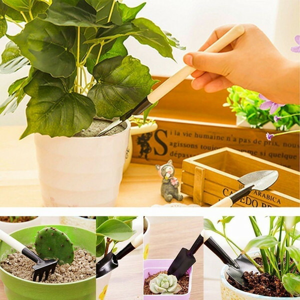 多肉植物 寄せ植え ミニ ガーデニング 15点 園芸 セット ハオルチア サボテン 苗 土 観葉植物ピストル型スプレー 1個 カー用品 雑貨ショップlittle Monster プラスチック土入れ 水さしボトル スコップ 熊手 ダストブロア ピンセット ハサミ ガーデニング 趣味 庭いじり