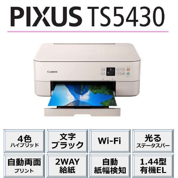 人気新品入荷 即納 キヤノン インクジェット複合機 TS5430 PINK テレワーク リモートワーク スキャン コピー プリント カラー スマホ  エントリーモデル 年賀状 A4 www.paldia.co.jp