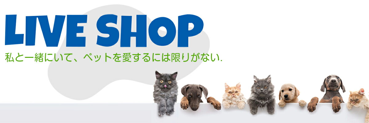 �饤�֥���å� ��ŷ�Ծ�Ź���ơ��֥륯�������饰���ޥåȤ��濴�Ȥ�������ƥꥢ����åפǤ�