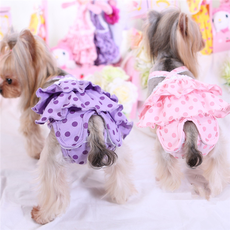 楽天市場 サニタリーパンツ 生理パンツ マナーパンツ 犬用サニタリーパンツ 犬服 犬 服 犬オムツ 洗える 生理用 パンツ マナーおむつ 女の子用 雌犬 かわいい 犬の服 ペット服 お散歩 お出かけ おしゃれ 小型犬 中型犬 介護用品 Leomangeworth