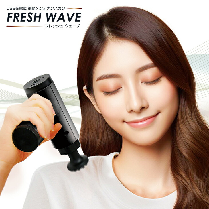 楽天市場】USB充電式 電動メンテナンスガン フレッシュウェーブ