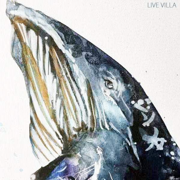 楽天市場 インテリア魚絵画 クジラ 同梱不可商品 送料無料 アジアン マリン雑貨ライブビラ