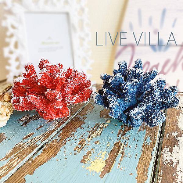 楽天市場】オブジェ インテリア サンゴ 珊瑚 さんご コーラル