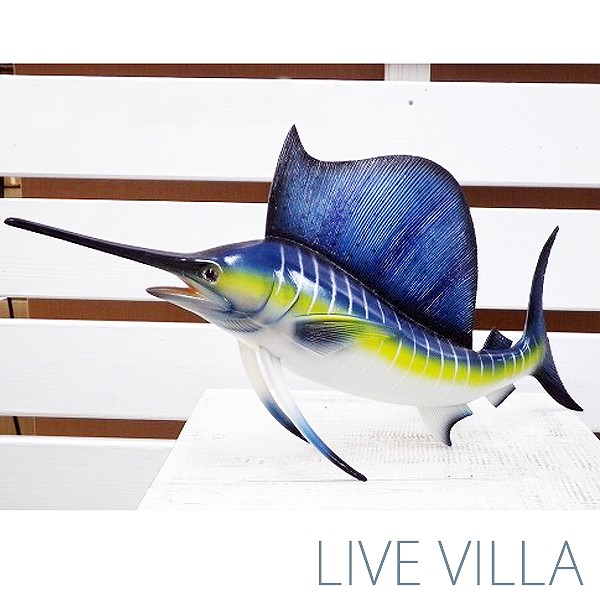 最も選択された バショウ カジキ 4743 バショウ カジキ 天敵