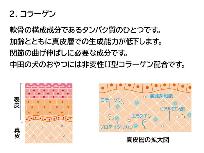 楽天市場 中田の犬のおやつ g入り ネコポス発送 おやつサプリ ペット 犬 愛犬 健康サポート おやつ 国産 無添加 鮭鼻軟骨成分 コラーゲン プロテオグリカン ペットケア 国内製造 シニア犬 小型犬 中型犬 大型犬 安心 安全 関節 リーヴ ワン 楽天市場店