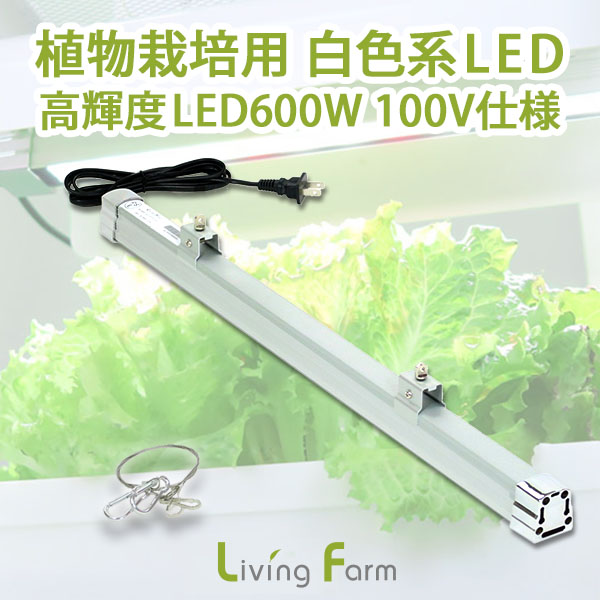 送料無料 水耕栽培 Ledライト リビングファーム 水耕栽培 植物栽培用 Led 高輝度led600w 白色系 2年間保証付 無農薬野菜 ハーブ バジル 室内 野菜栽培 育苗 育成 Runawayapricot Com